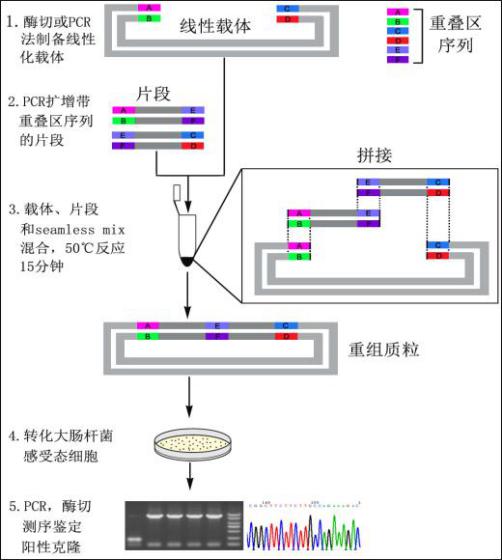 无缝连接图字母3